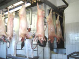 Frigoríficos em Ubatuba