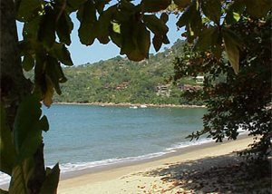 Praia Brava de Fortaleza em Ubatuba