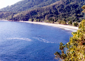 Praia Caçandoca em Ubatuba