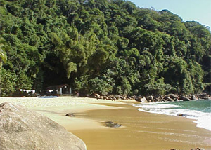 Praia Cedro em Ubatuba