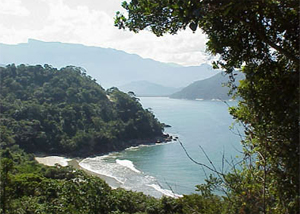 Praia do Costa em Ubatuba