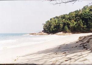 Praia do Deserto em Ubatuba