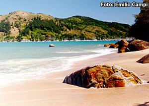 Praia do Lamberto em Ubatuba