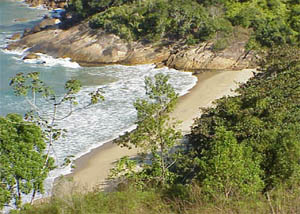 Praia do Léo em Ubatuba