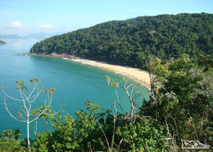 Praia Figueira em Ubatuba