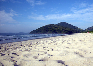 Praia de Itamambuca em Ubatuba
