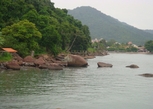 Prainha de Matarazzoem Ubatuba